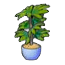 N'importe quelle plante en pot