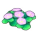 Seashore flowers
