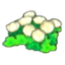 Skyland flowers