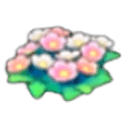 Wildflowers
