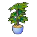 N'importe quelle plante en pot