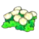 Carré de fleurs de Flotîles