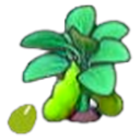 Vegetable field (any)